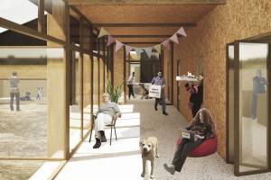 Thomas PETIT - NUMEN ARCHITECTURE